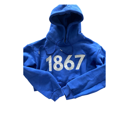 1867 Cropped Hoodie