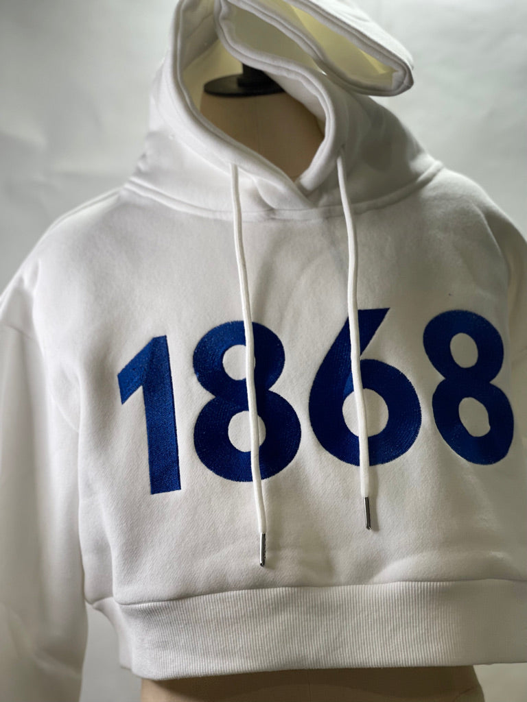 Hampton University 1868 crop-top hoodies